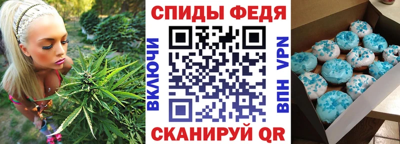 darknet Telegram где найти Пикалёво АМФ 97%