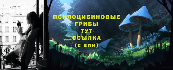 метадон Дмитриев