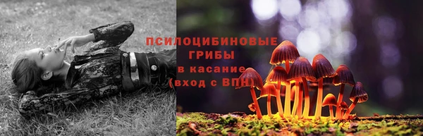 эйфоретик Дмитровск